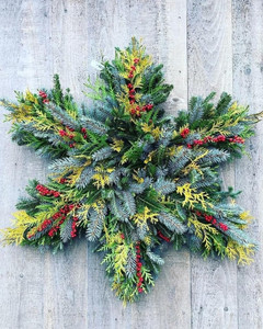 Sun Nov 16 Evergreen Burst 251116161